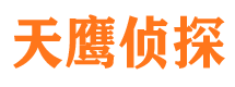 于洪市侦探公司